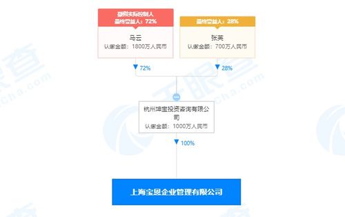 馬云旗下公司全資收購寶恩企業管理咨詢，深化商業版圖布局